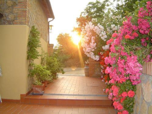 Agriturismo Il Colombaiolo Villa Pienza Kültér fotó