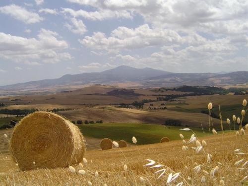 Agriturismo Il Colombaiolo Villa Pienza Kültér fotó