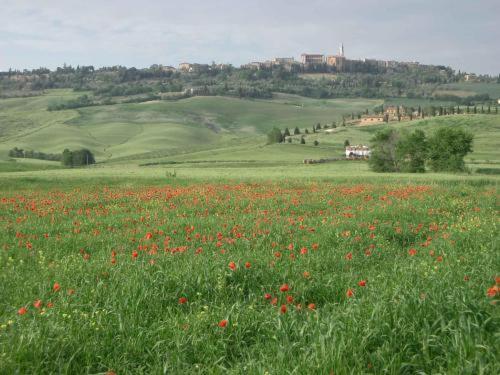 Agriturismo Il Colombaiolo Villa Pienza Kültér fotó