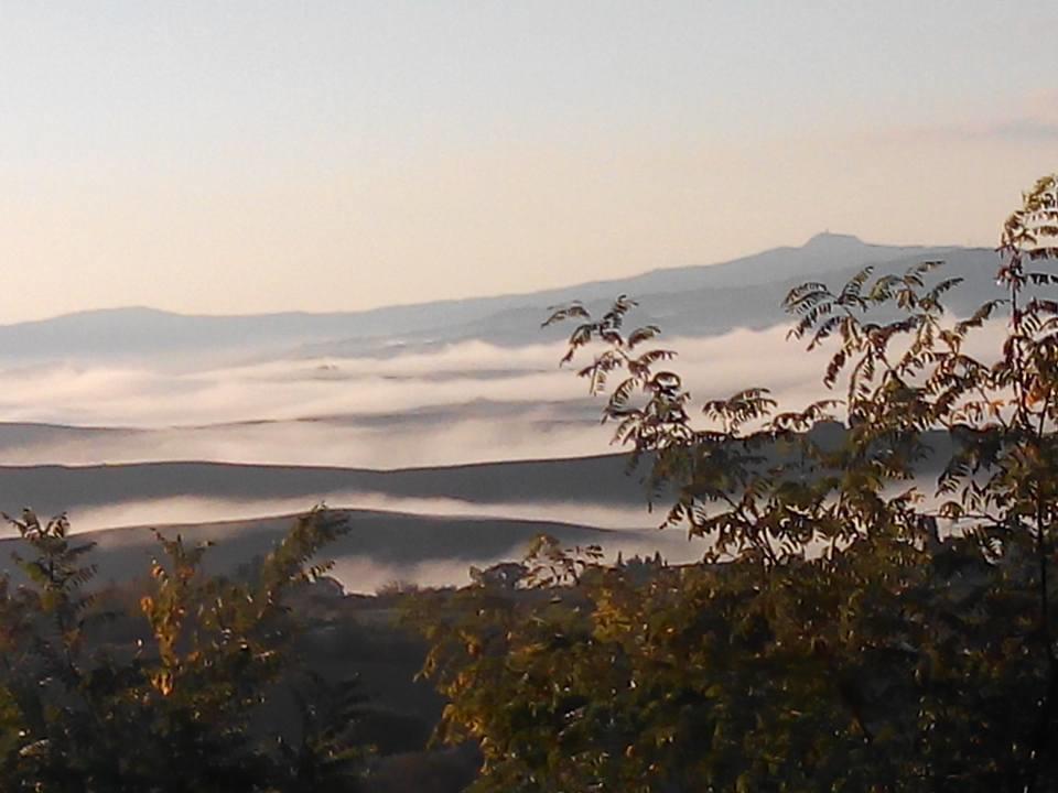 Agriturismo Il Colombaiolo Villa Pienza Kültér fotó