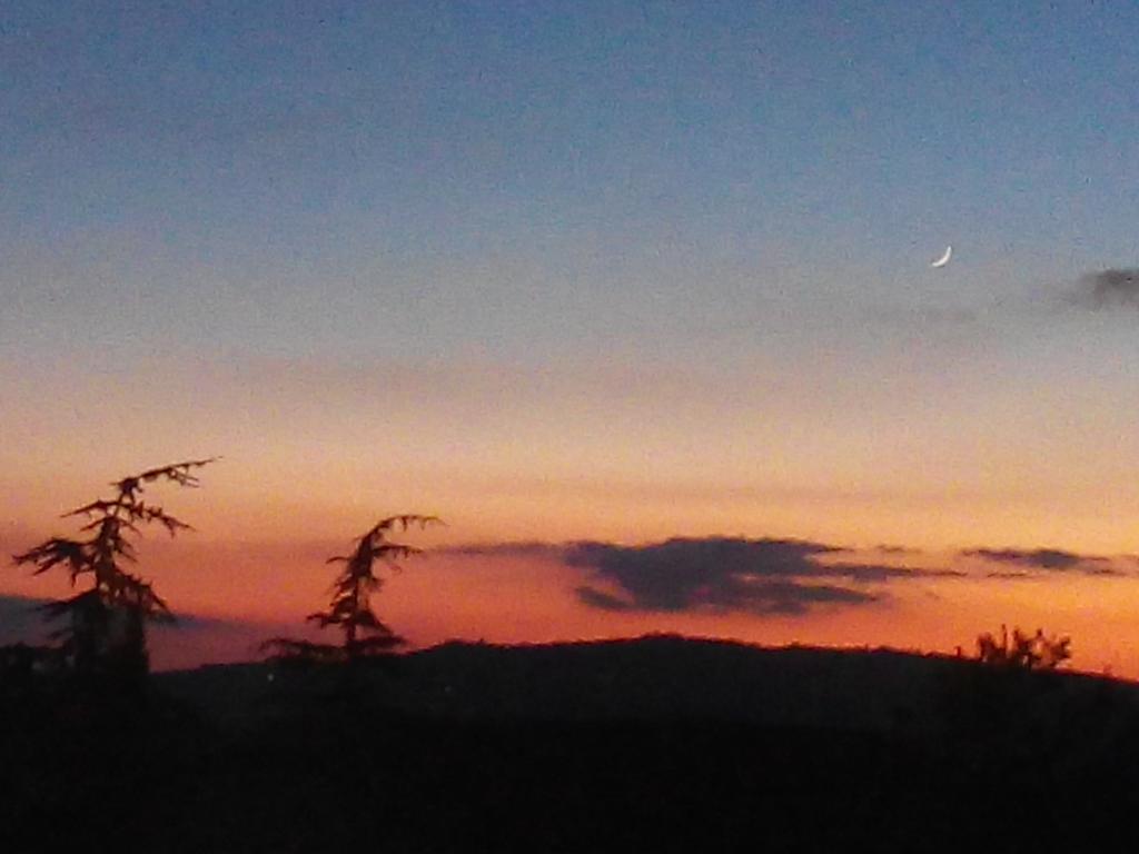Agriturismo Colombaiolo Pienza Kültér fotó