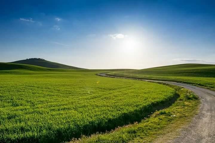 Agriturismo Il Colombaiolo Villa Pienza Kültér fotó